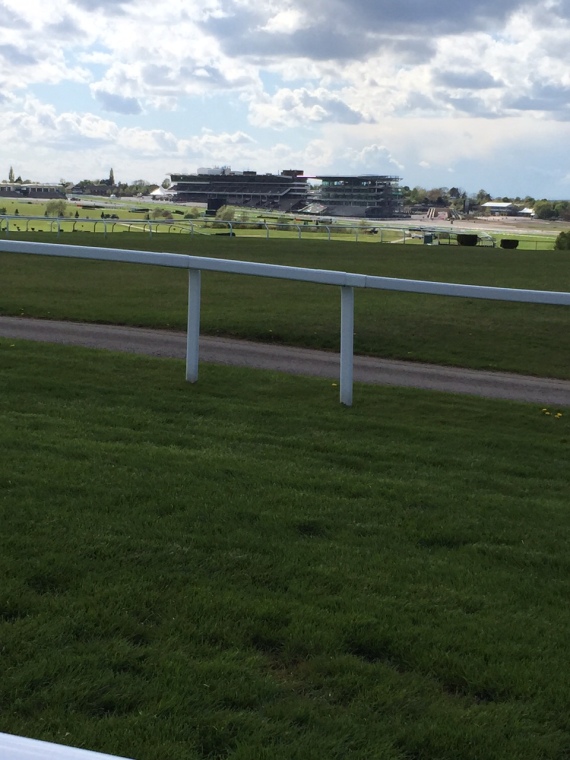Thanks to 'Fitbit' you get to see racecourses from a whole different angle! 
